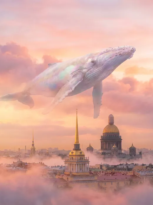 Кит над Петербургом